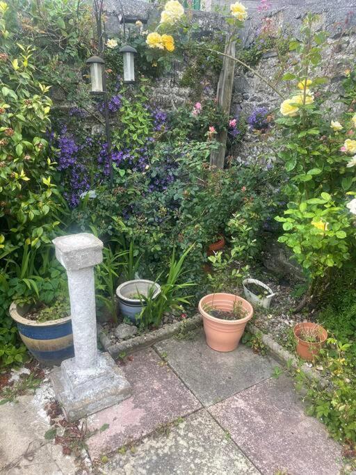 Ivybridge Cottage Kültér fotó